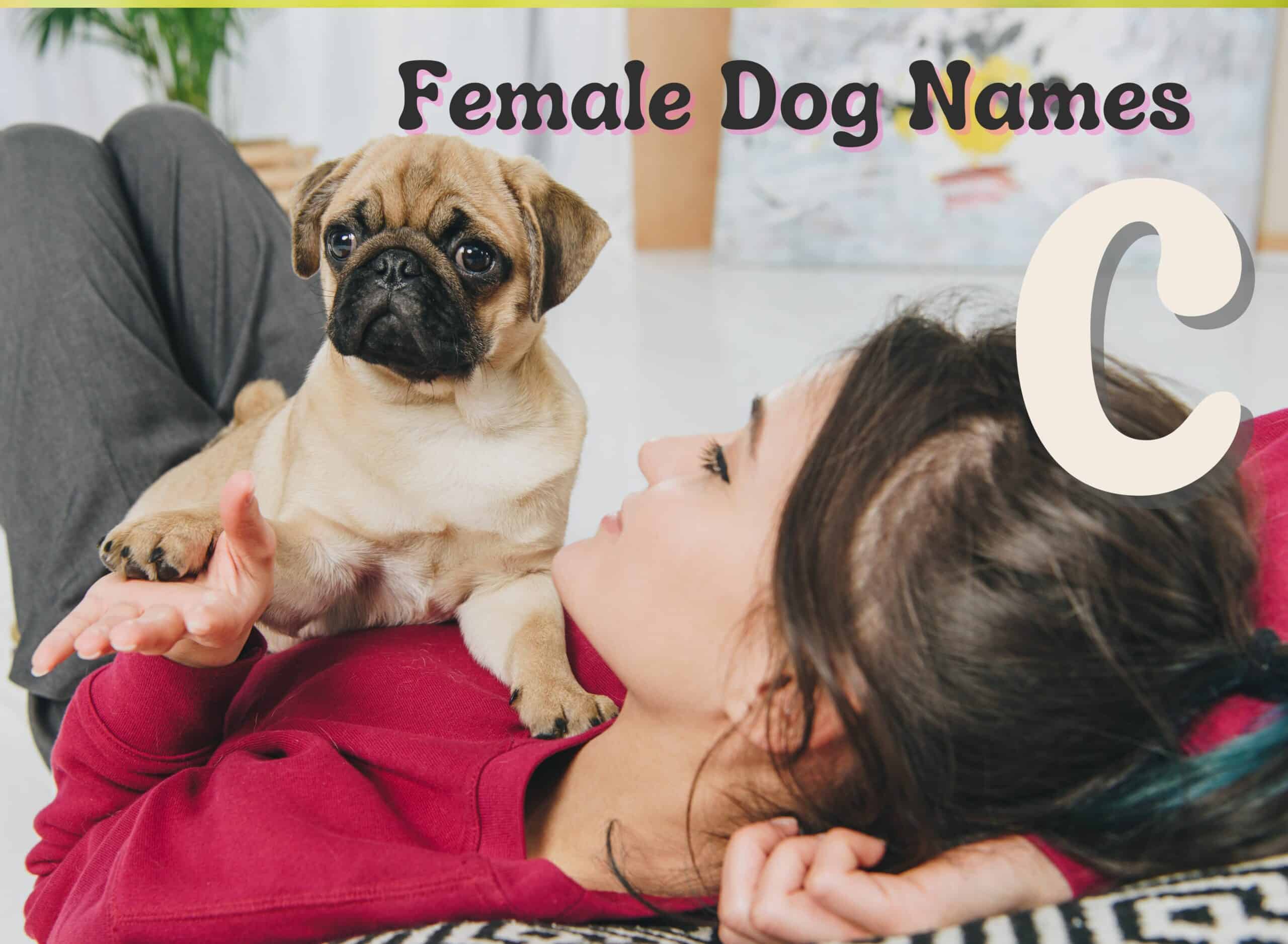 Female Dog Names - C