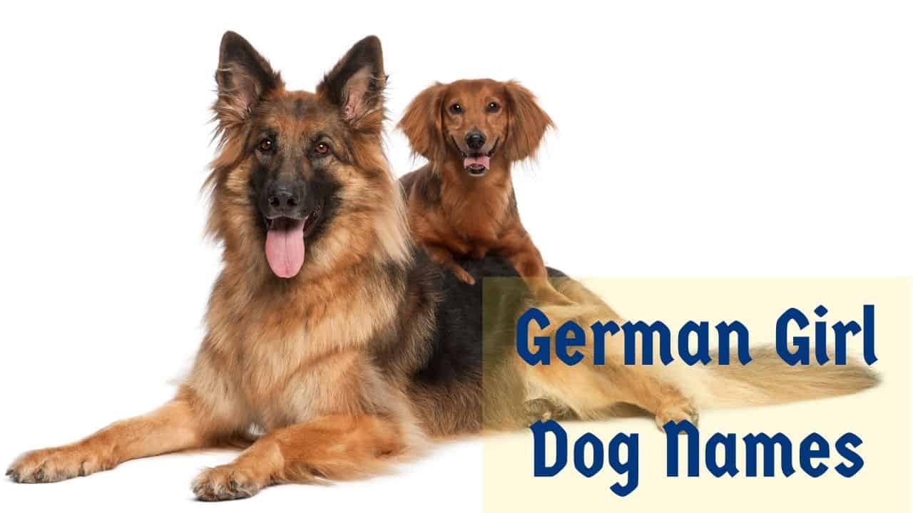 German Girl Dog Names