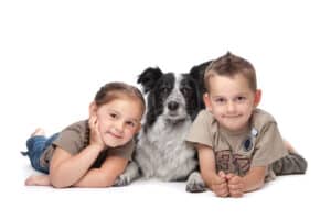 border collie with family