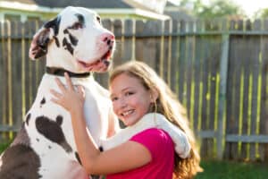 great dane with family
